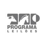 programa leiloes